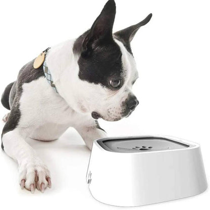 Dog Slow Water Feeder Dispenser